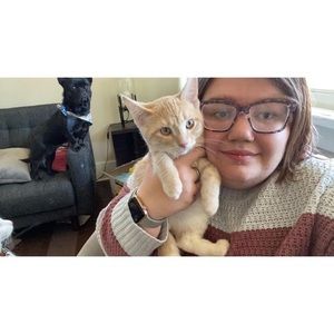 Meet your Posher, Mackenzie